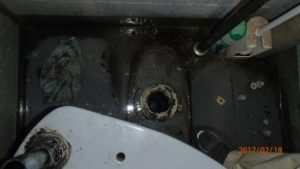 便器への落し物