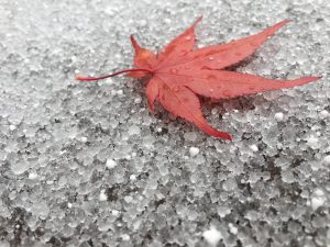 新穂高ロープーウェイにもいきました(*^_^*) 一日目は台風と重なり、二日目に行った新穂高は途中で雪も降ってきてしまい天候に恵まれず 計画通りにはいきませんでしたが、本人は大喜びしてくれたので良かったです(^^) 最終的に、どこに行くかじゃなく誰と行くかだね、という結論に至りました(笑) 歳をとっておばあちゃんになっても、変わらない自分たちでいたいねーと話しながら 良い友達に恵まれたなぁという気持ちになり、友達へのお祝いでしたが 自分が幸せな気持ちになることができました(*^_^*) ですがやっぱり・・・晴れていてほしかったなぁ・・・(笑)