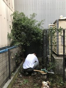 管理物件の清掃