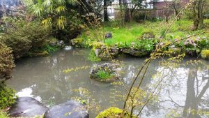 福井県に行ってきました