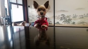 福井県に行ってきました