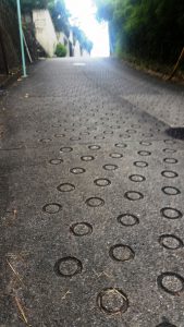 今年はまだカブトムシ来てないなぁ～