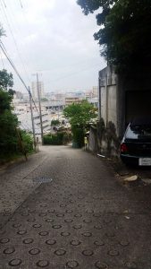 今年はまだカブトムシ来てないなぁ～