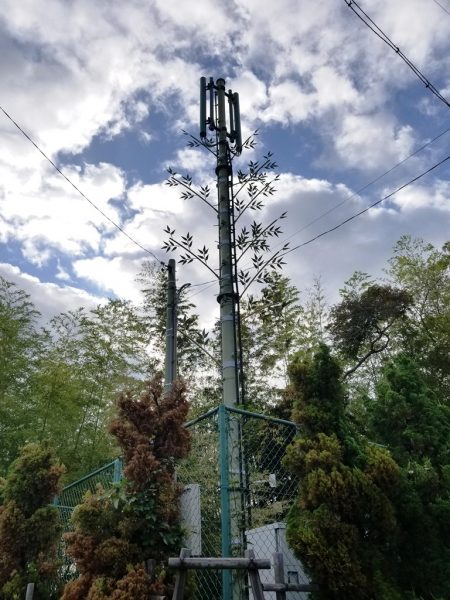 森に溶け込むように?なのか?