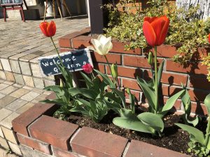 栄和の花壇も春仕様です