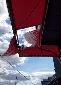 強風で べろ~~ん。です。(^_^;)