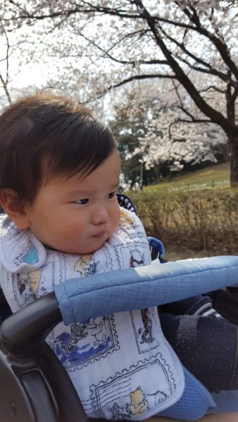 ウチの子も花見初デビュー