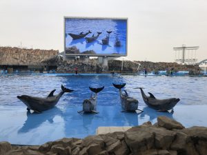 名古屋港水族館