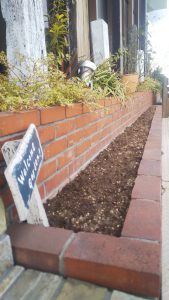 栄和の前の花壇