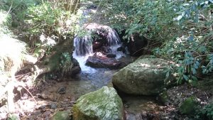 癒しのスポット