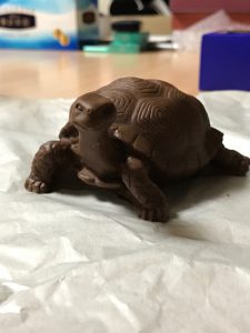 なんでカメなんだろう