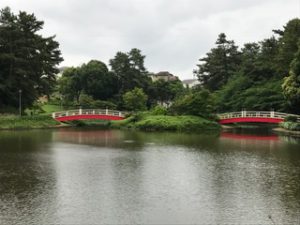 池に架かる橋も風情があって