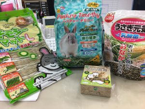 うさぎを飼い始めました