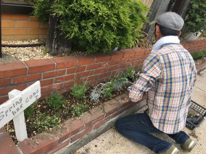 花壇を綺麗にしてくださる、庭屋さんです