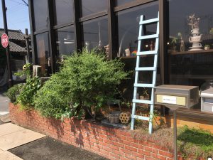 花壇を綺麗にしてくださる、庭屋さんです!