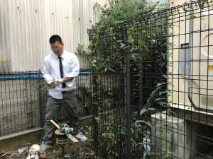 管理物件の清掃