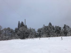 年末年始の過ごし方