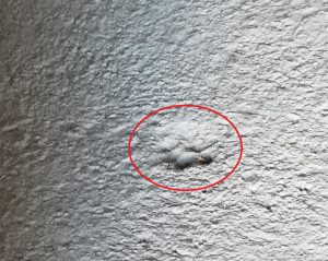 玄関土間の下地モルタル