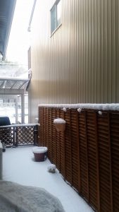 次の日曜日は、案の定雪景色