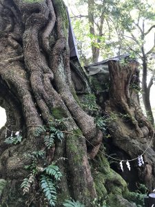 有名な神社にも行ってきました。