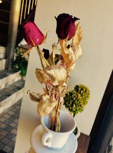 ドライフラワーにしたバラ