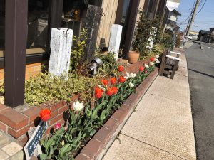 栄和の花壇も春仕様です