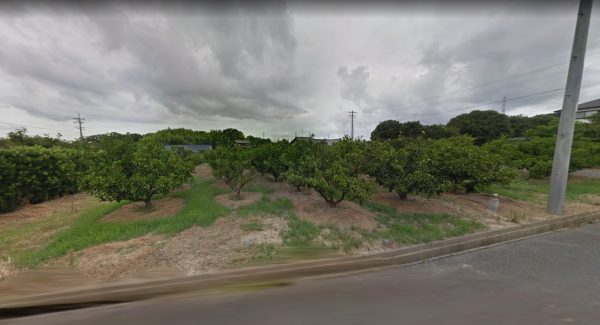 円畑貸地２ (賃貸：土地)