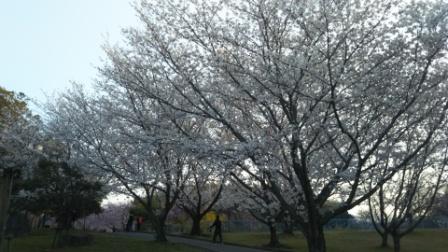 知多市の旭公園
