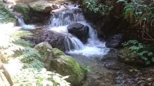 癒しのスポット