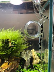 リビングに水槽