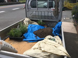 花壇を綺麗にしてくださる、庭屋さんです！