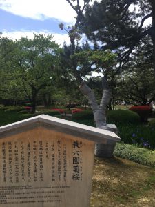 兼六園や、金沢21世紀美術館