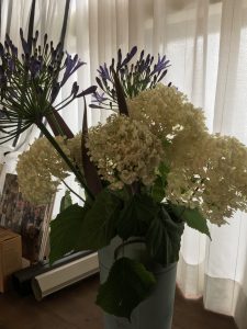 お花を頂きました