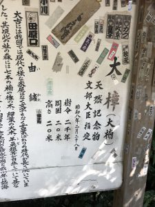 有名な神社にも行ってきました。