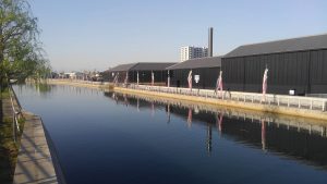 半田運河沿いの鯉のぼり