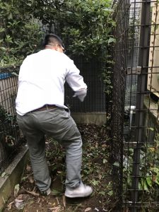 管理物件の清掃