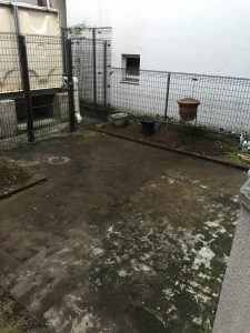 管理物件の清掃