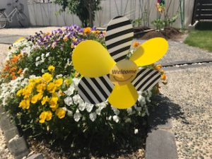 新たな仲間入り