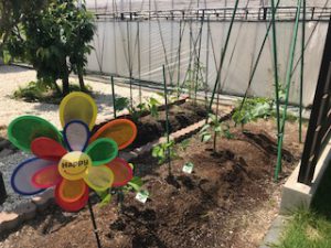 新たな仲間入り