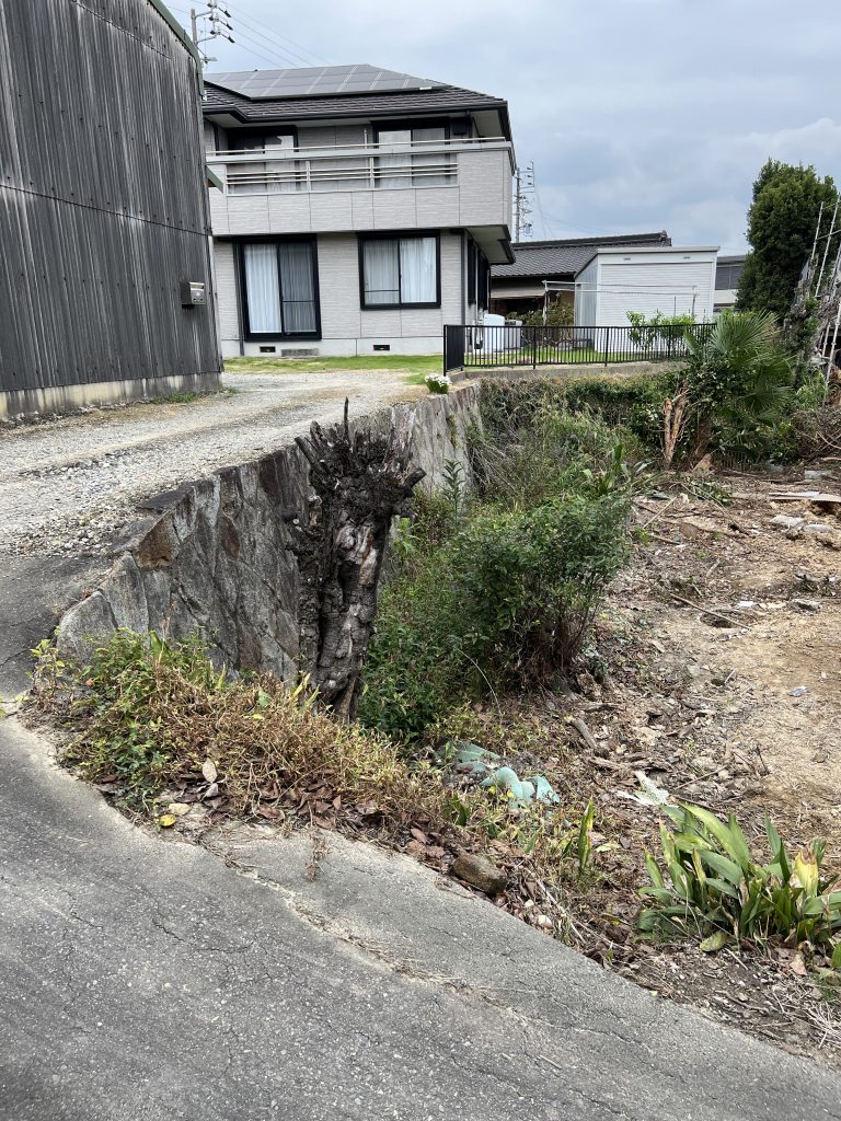 東海市加木屋町柿畑