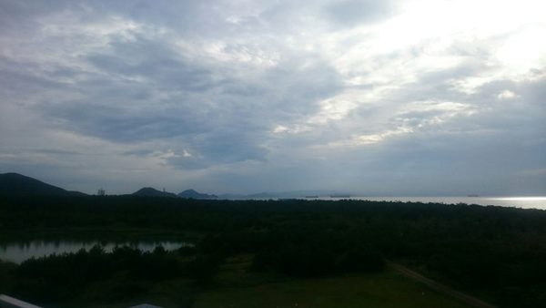 初めての・・・