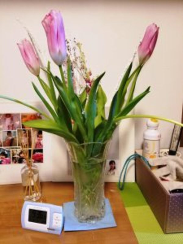 春はまだかなぁ～