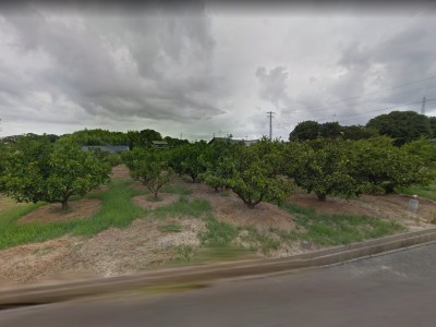 円畑貸地２ (賃貸：土地)