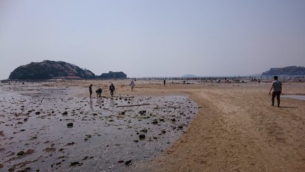 今年最後の・・狩り