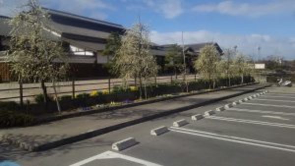 季節の変わり目