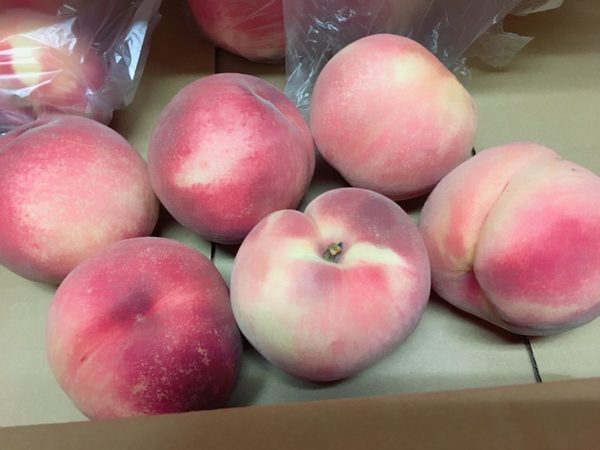 お盆休みのお知らせ