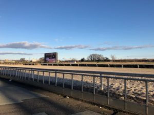 年末年始の過ごし方