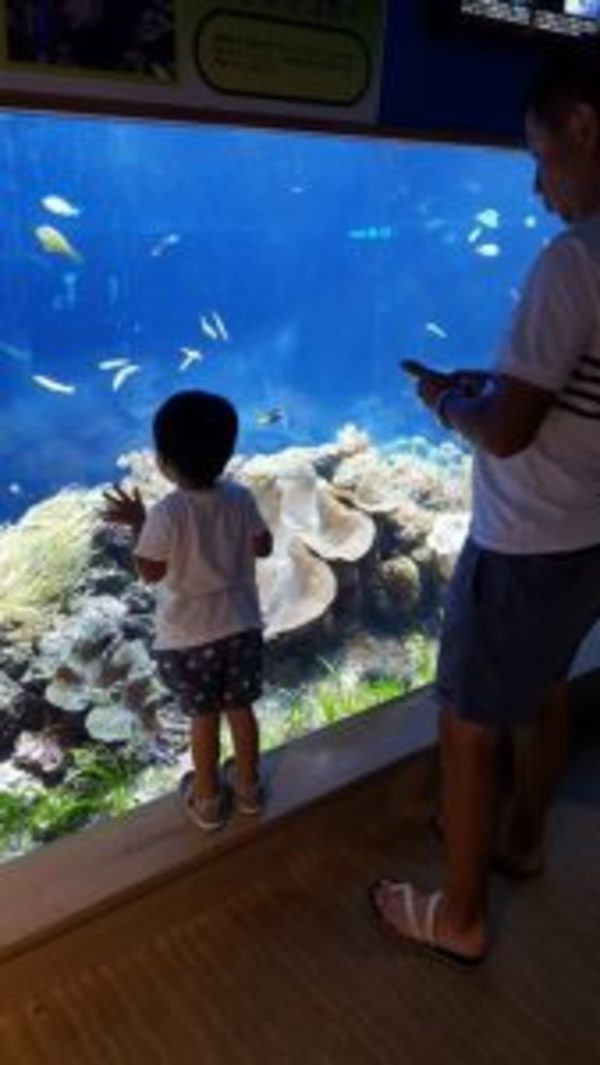 ２回目の水族館