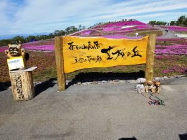 天空の花回廊・魔法のほうき