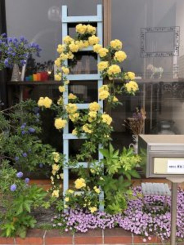 ゴールデンウィーク休業のお知らせ